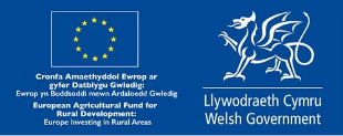 Keep Wales Tidy are funded by Welsh Government