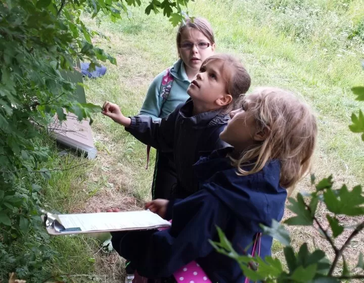 three school children with clipboards looking up into the trees above them