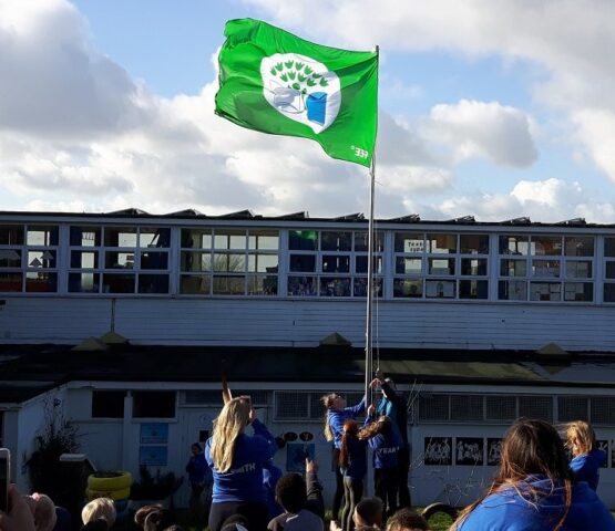secondary school with green flag