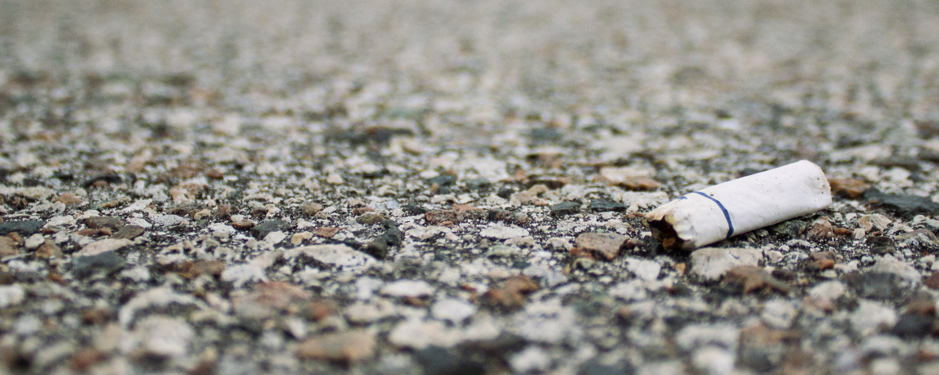 A discarded cigarette butt