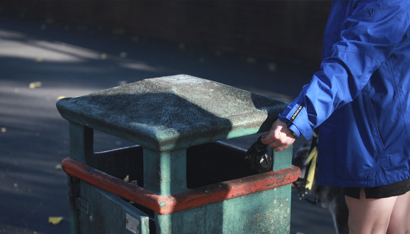 A dog walker using a bin