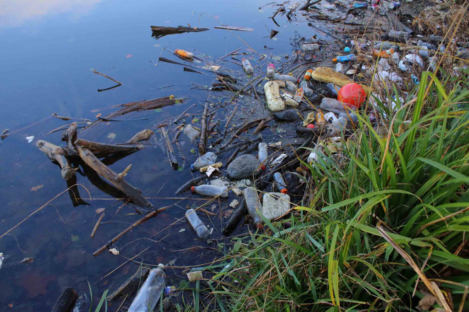 Litter washed up on the shoreline