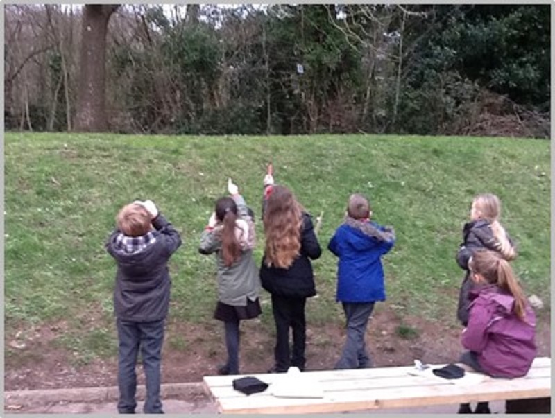 Young learners in front of a grass hill pointing at trees.