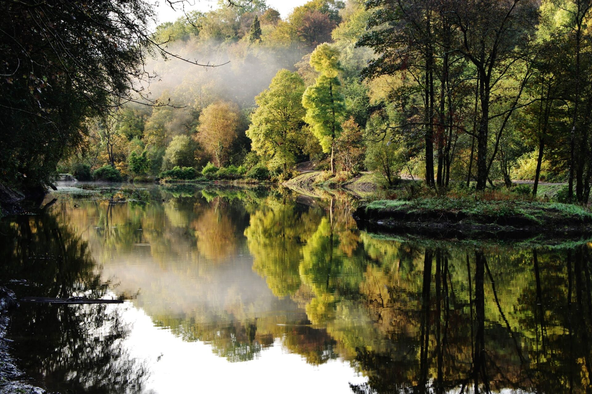 Penllergare Valley Woods