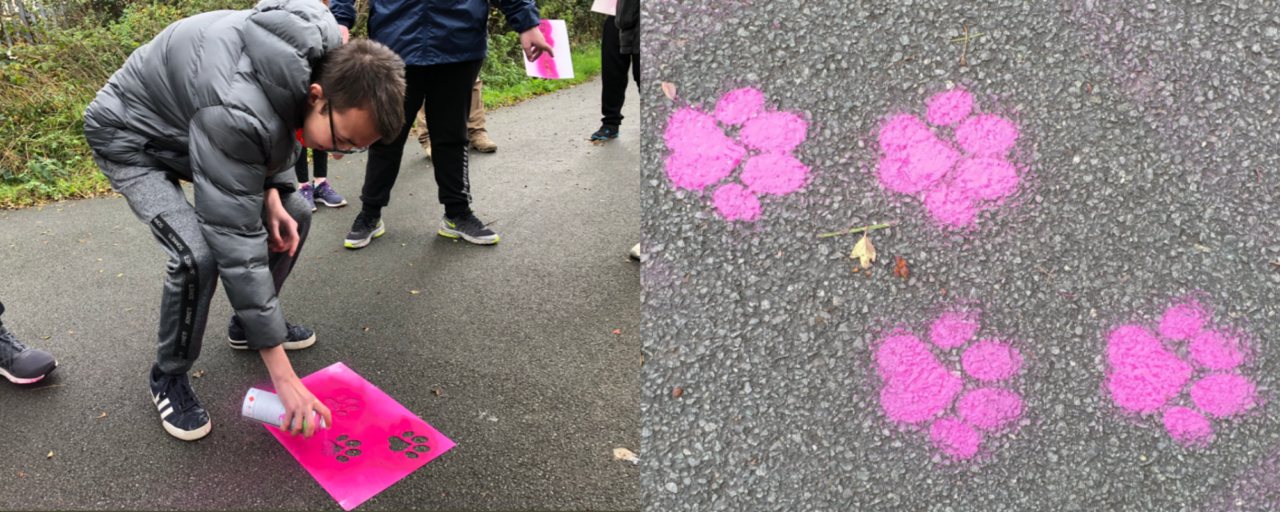 Pawprints to bins appearing across Wales to combat dog fouling