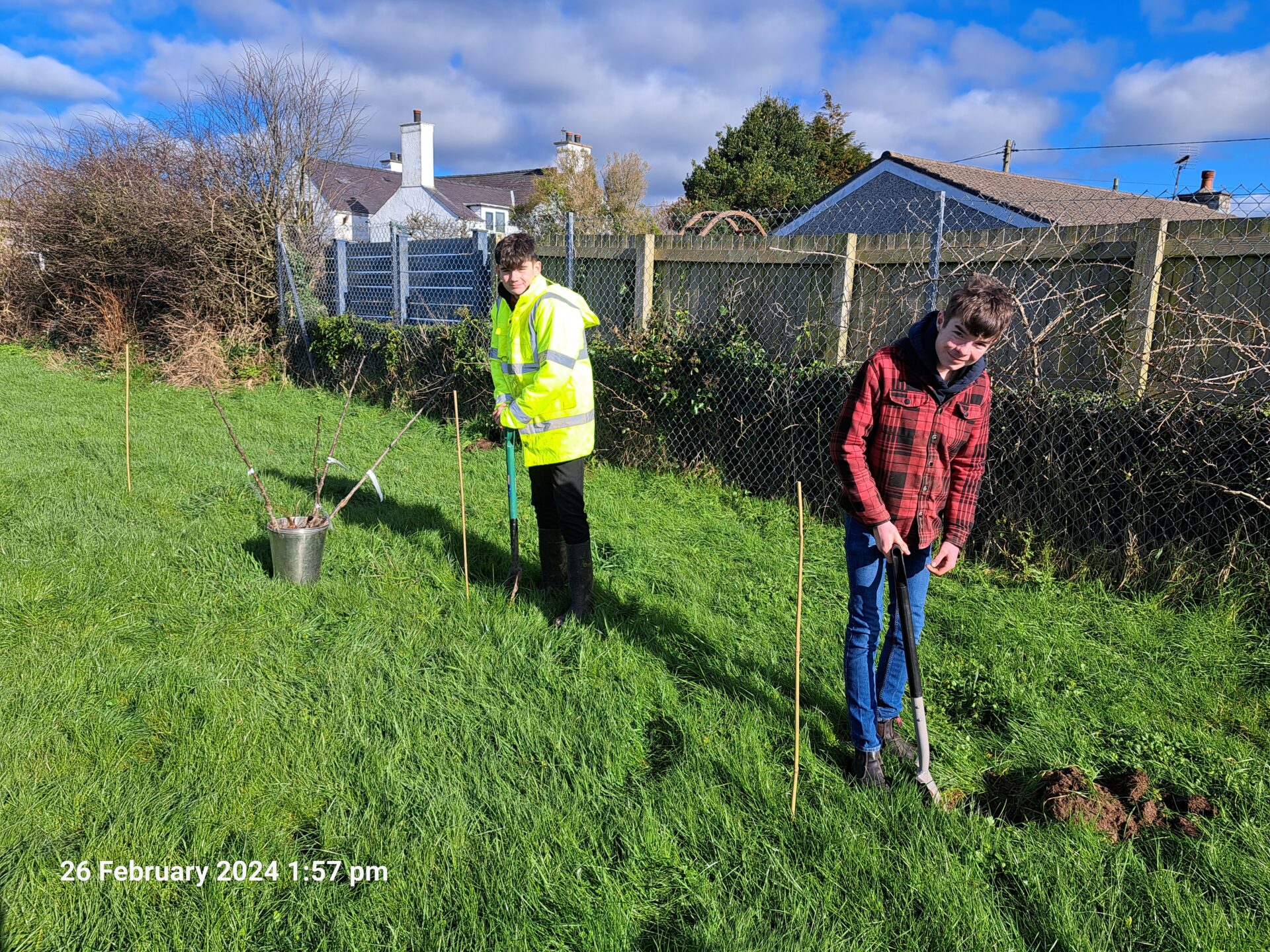 Two individuals are planting trees in a grassy area, with one person wearing a high-visibility vest and holding a shovel, and the other person digging a hole with a shovel.