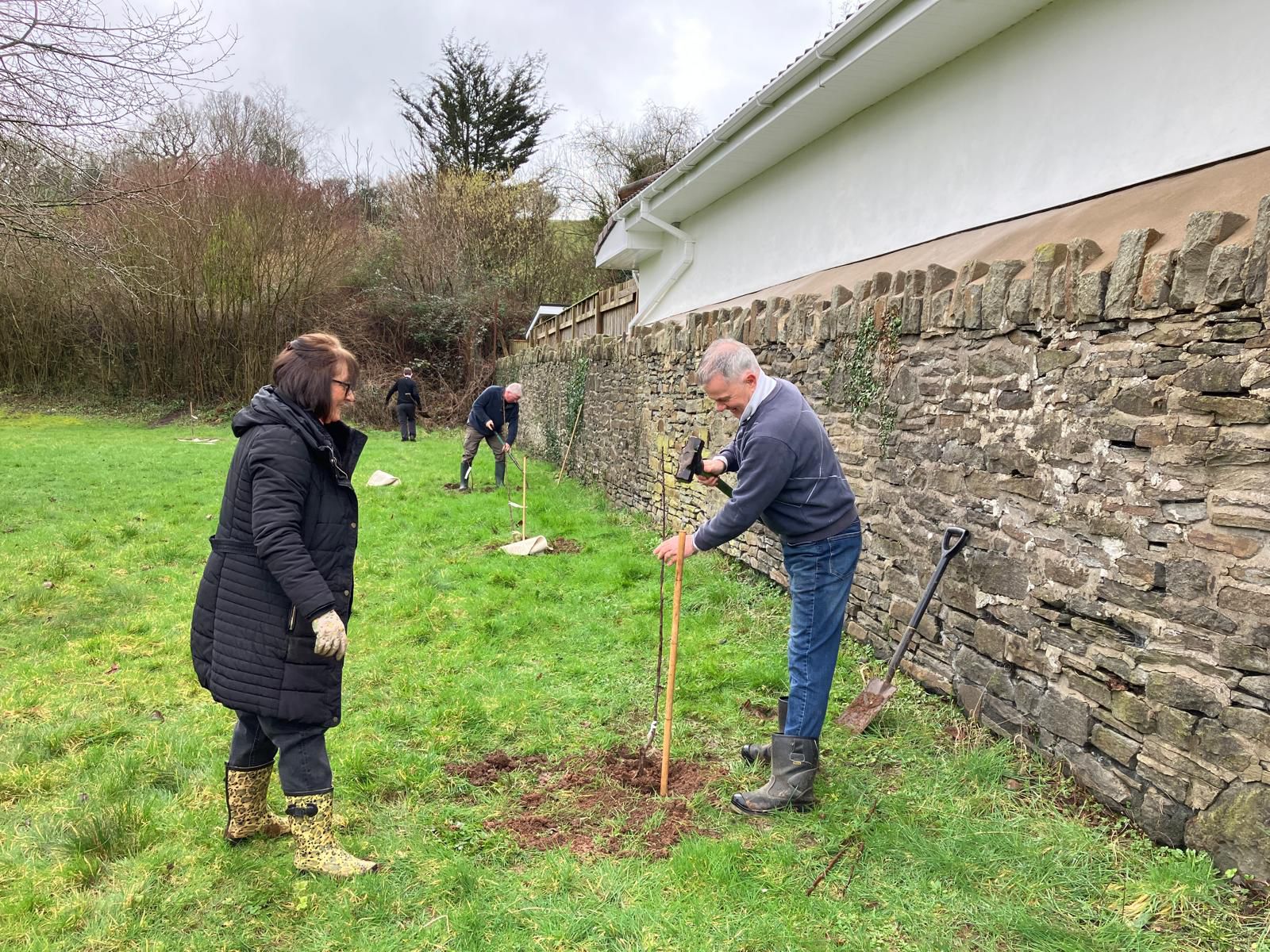 A group of people planting trees in a grassy area next to a stone wall.