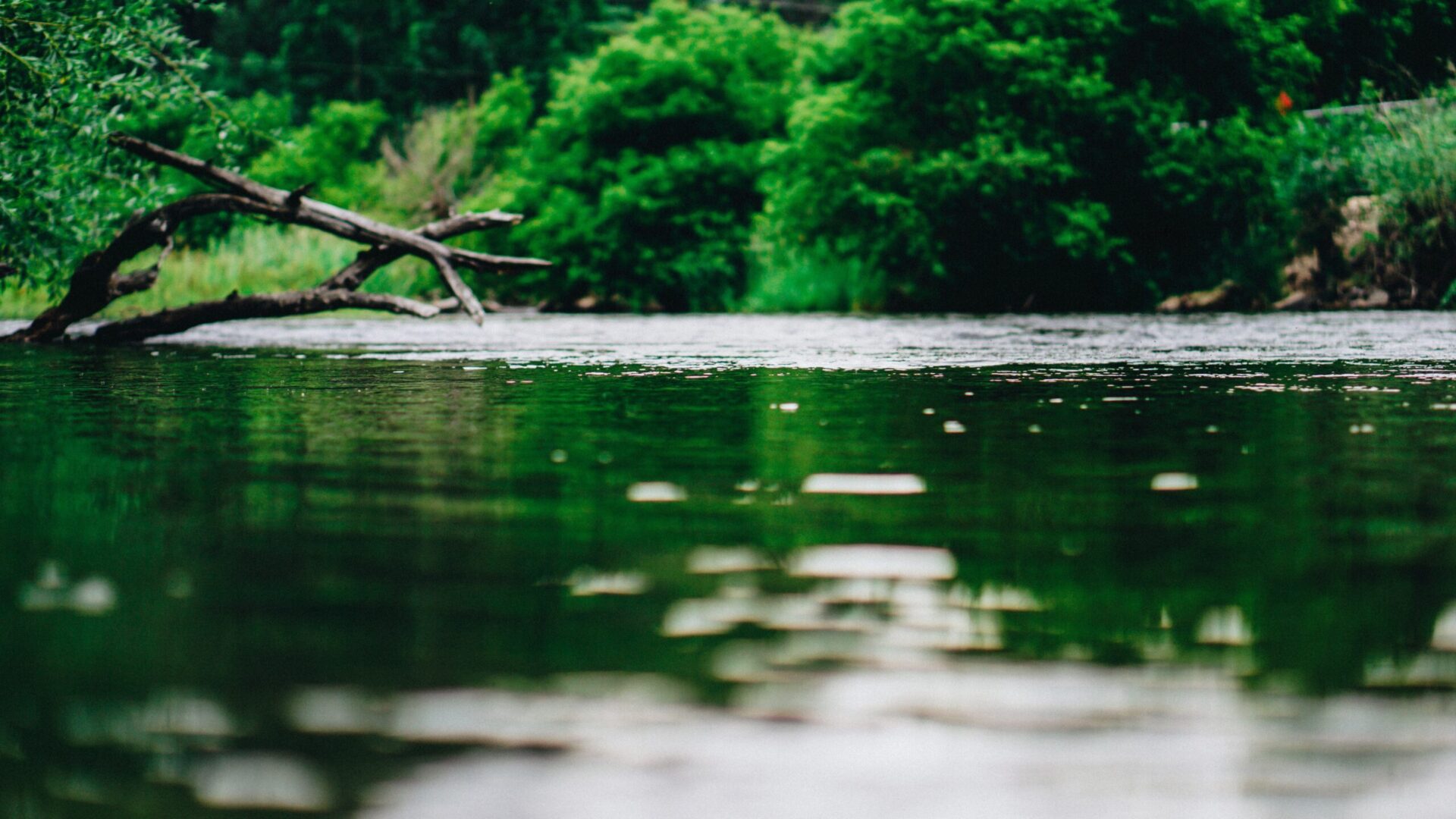 A close-up of a Welsh river