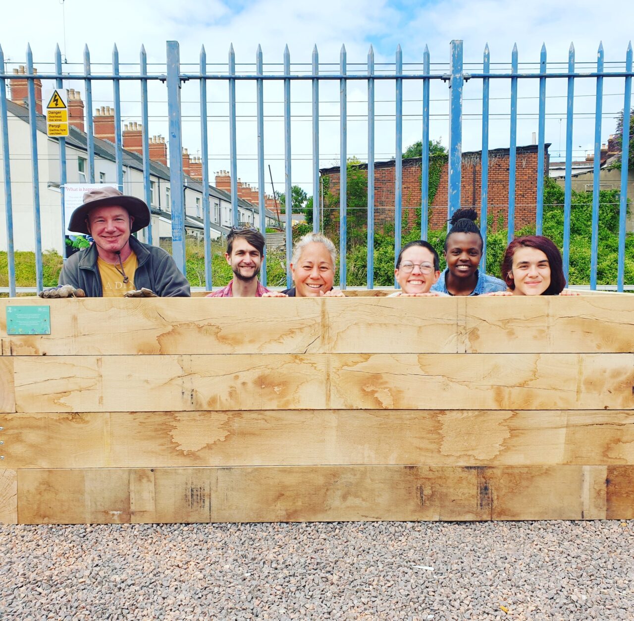 Mae chwech o bobl yn edrych dros flwch planhigion pren o flaen ffens las.