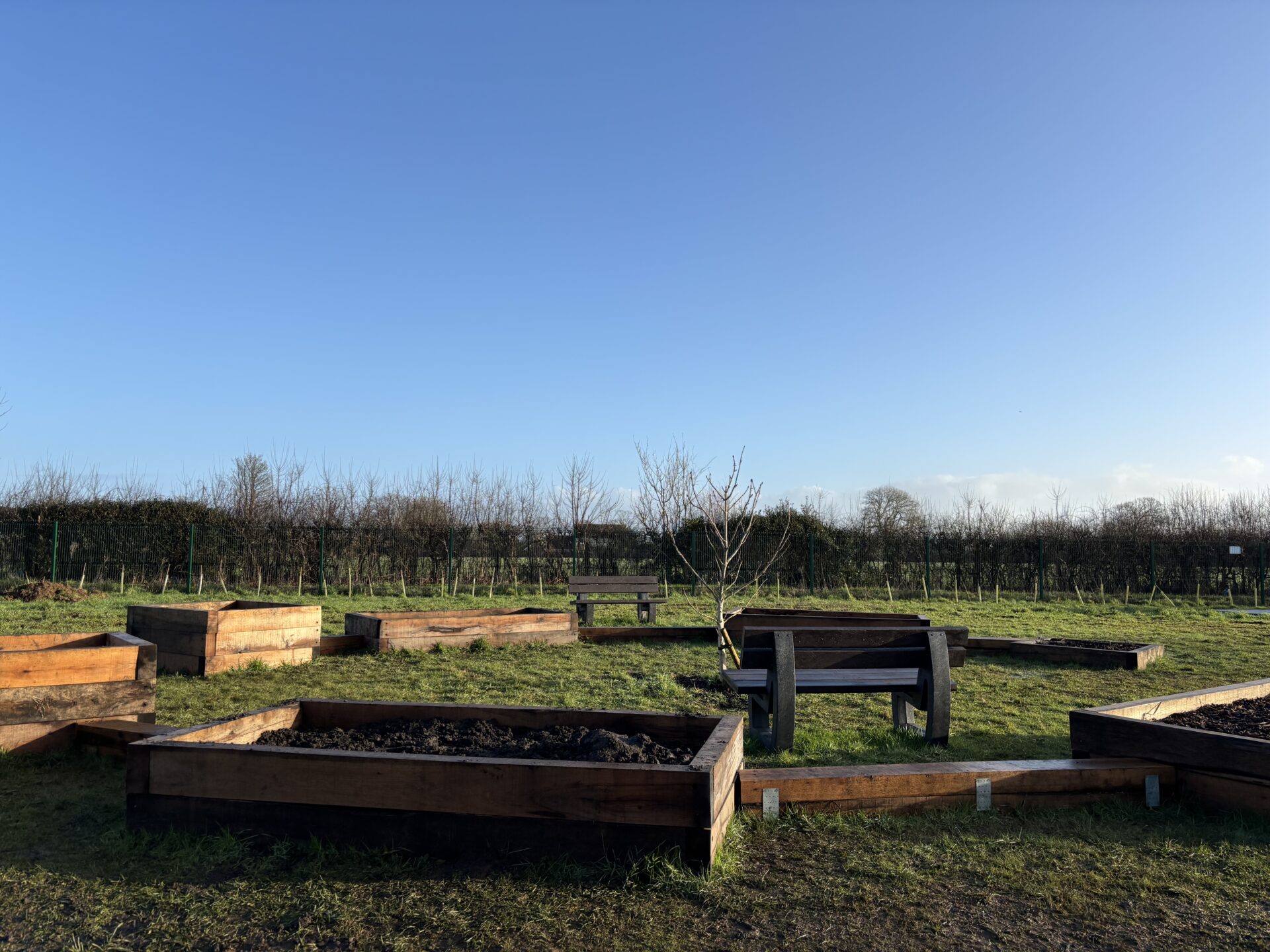 Raised garden beds made of wood in a grassy field with a clear blue sky above.