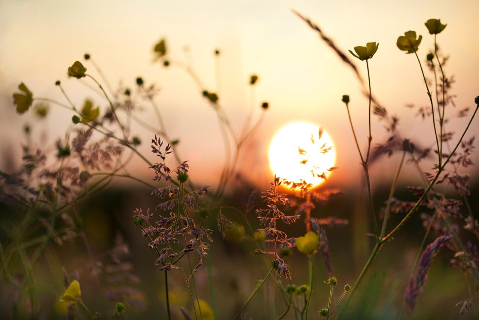 Machlud haul dros ddôl