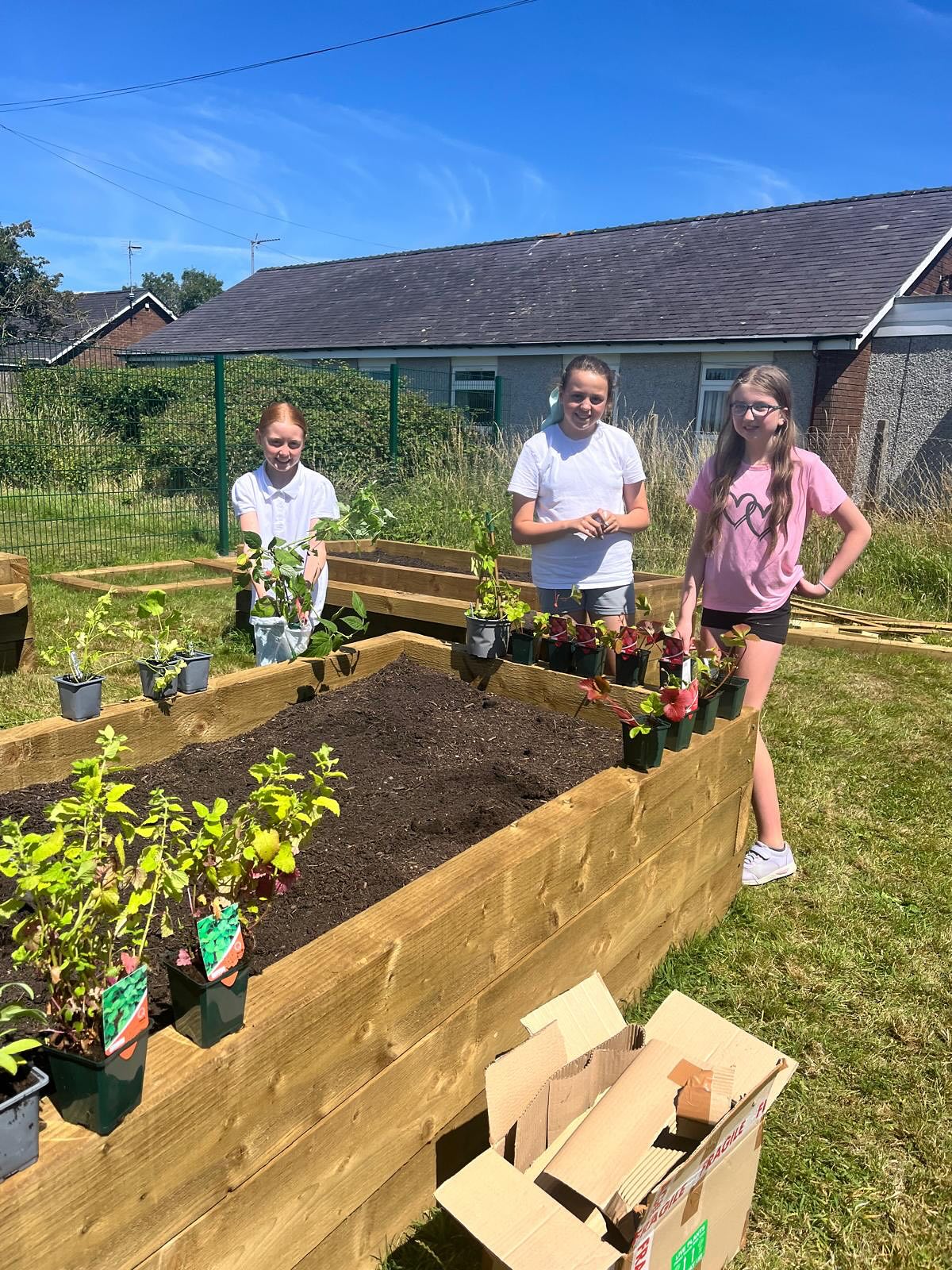 Three young people standing by a raised beds with plant pots on them.