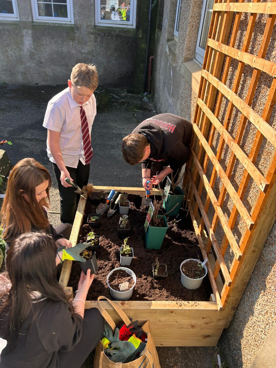 Four young people at a raised bed planting seeds, they are wearing white, red and black school uniform.