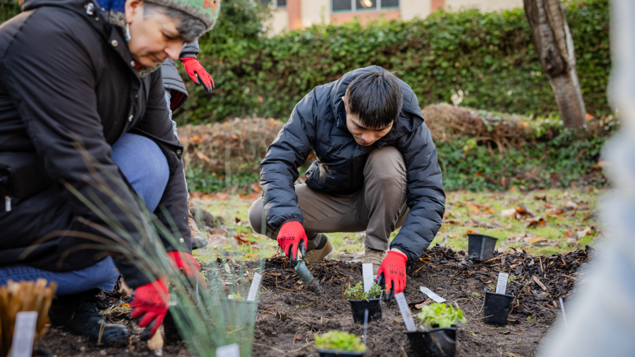 A group of people planting in a garden space. Two people are in the background, and one of them is wearing red gloves looking down whilst digging. They are wearing red gloves and wearing coats.
