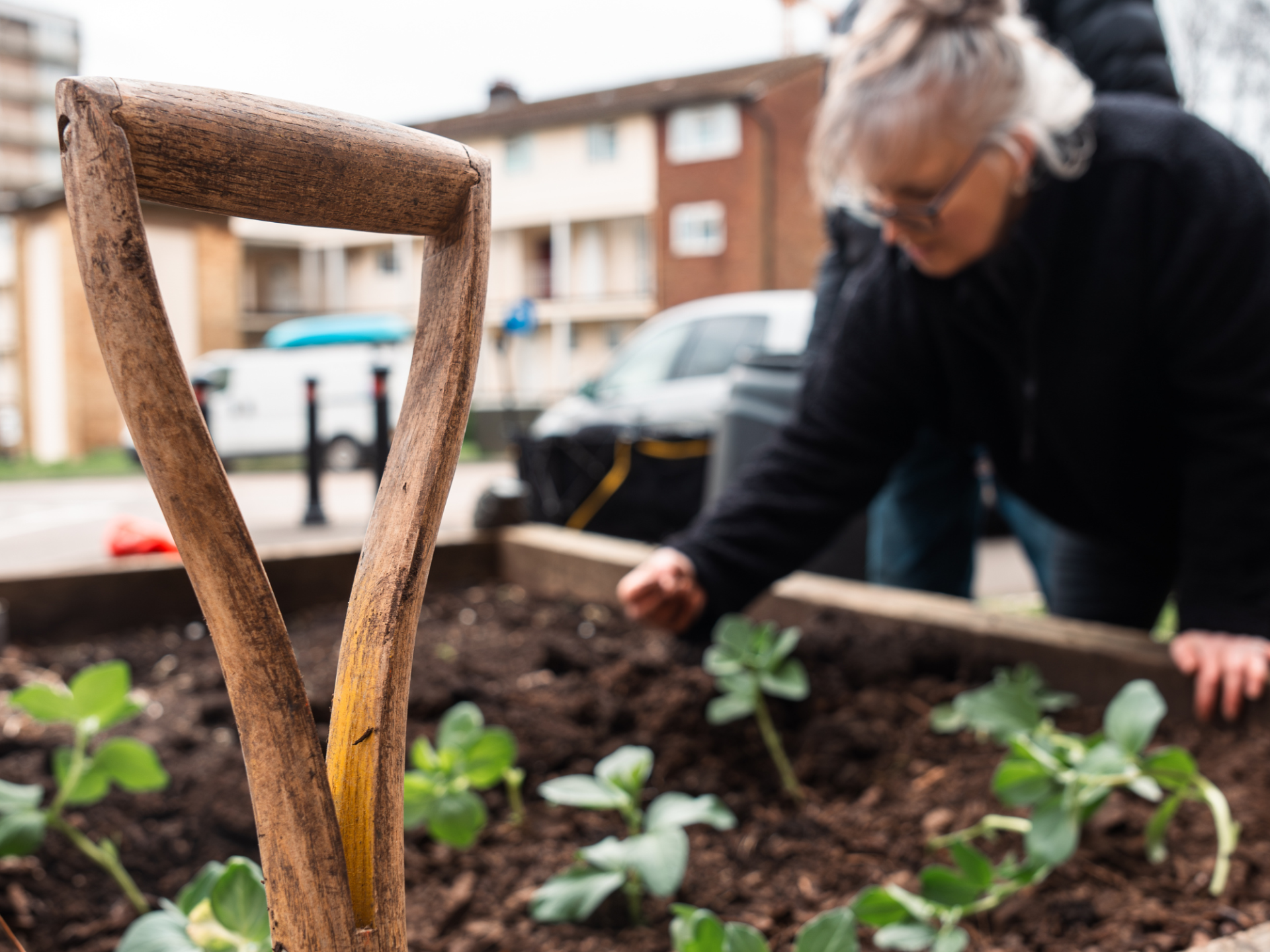 Rhaw ym mlaendir gwely gardd wedi'i godi gyda phlanhigion ifanc. Yn y cefndir, mae rhywun yn gofalu am yr ardd.