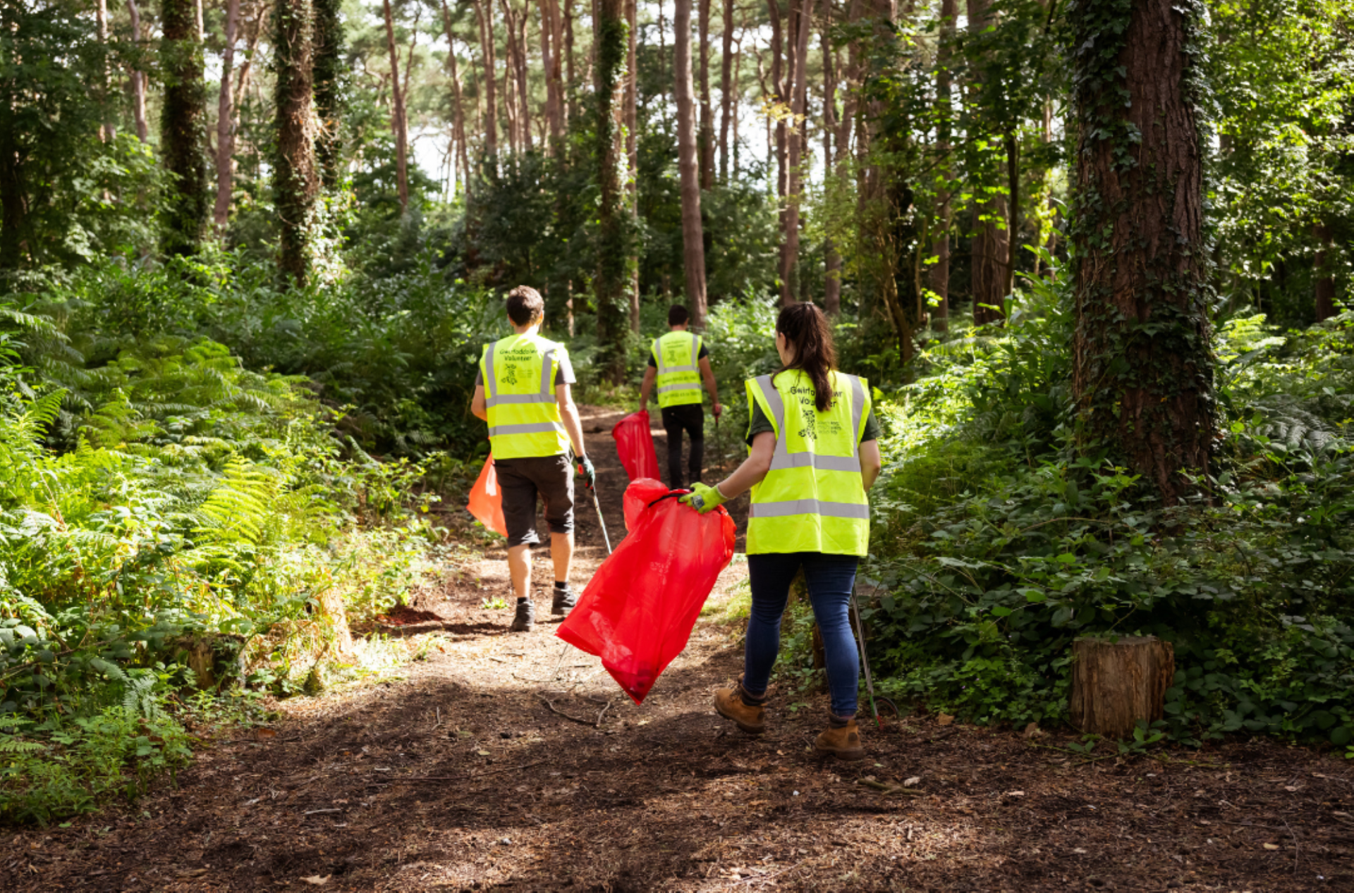 Volunteers litter picking in woodland