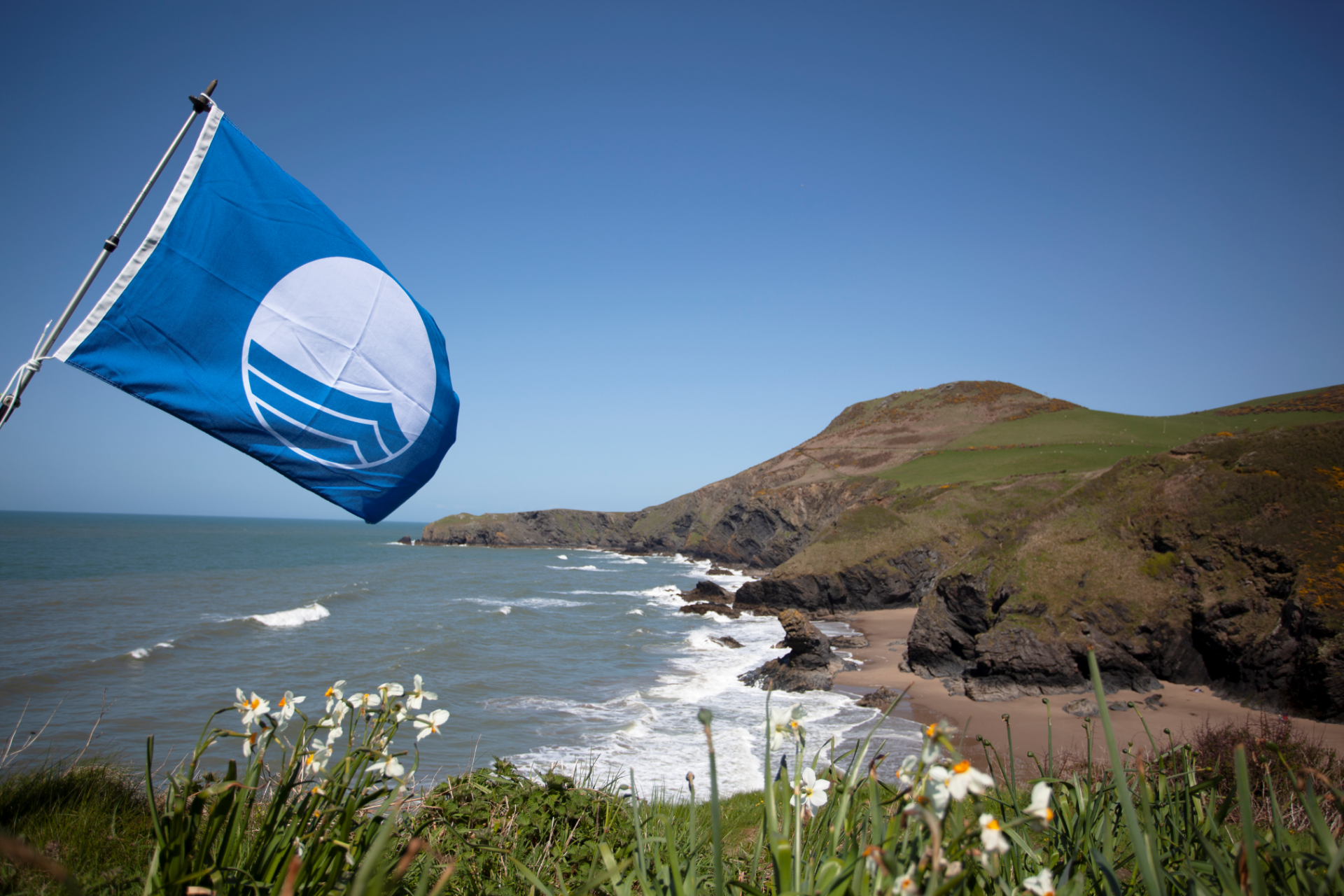 The iconic Blue Flag flying over a Ceredigion beach