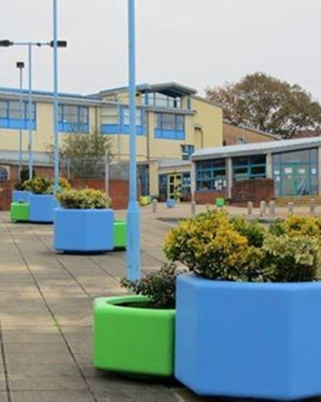 School grounds with blue and green plant containers.