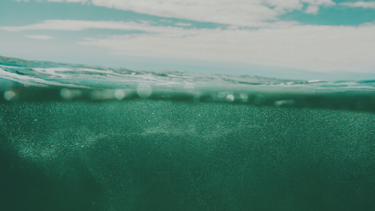 Underwater view of water filled with tiny bubbles.