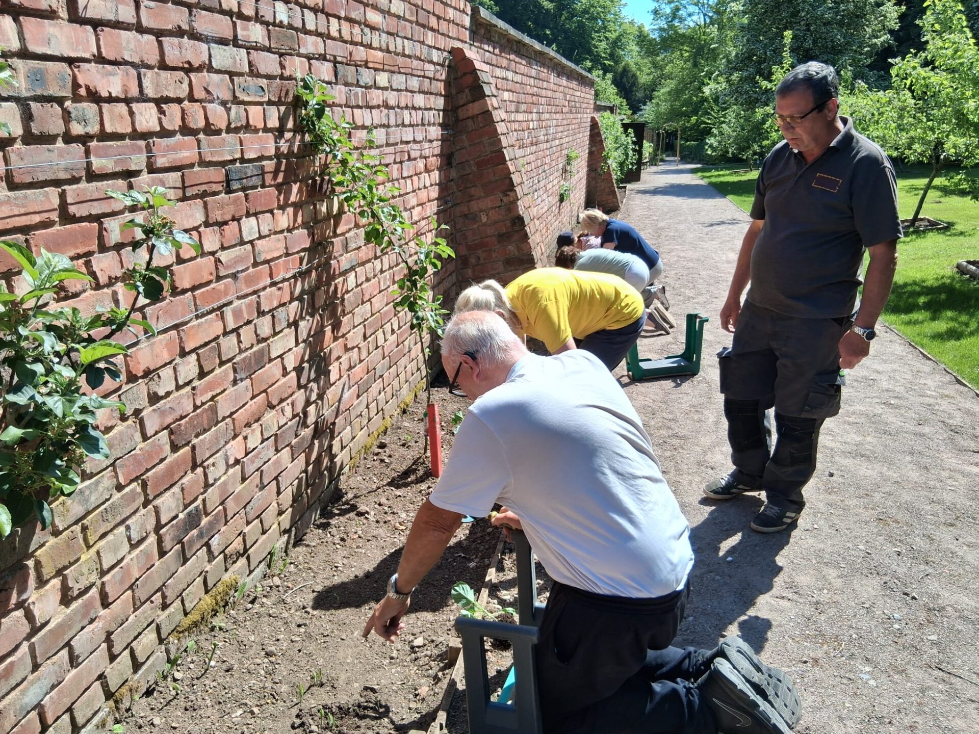 Volunteers planting in solil at the bottom of a tall wall. Keep Wales Tidy training session.