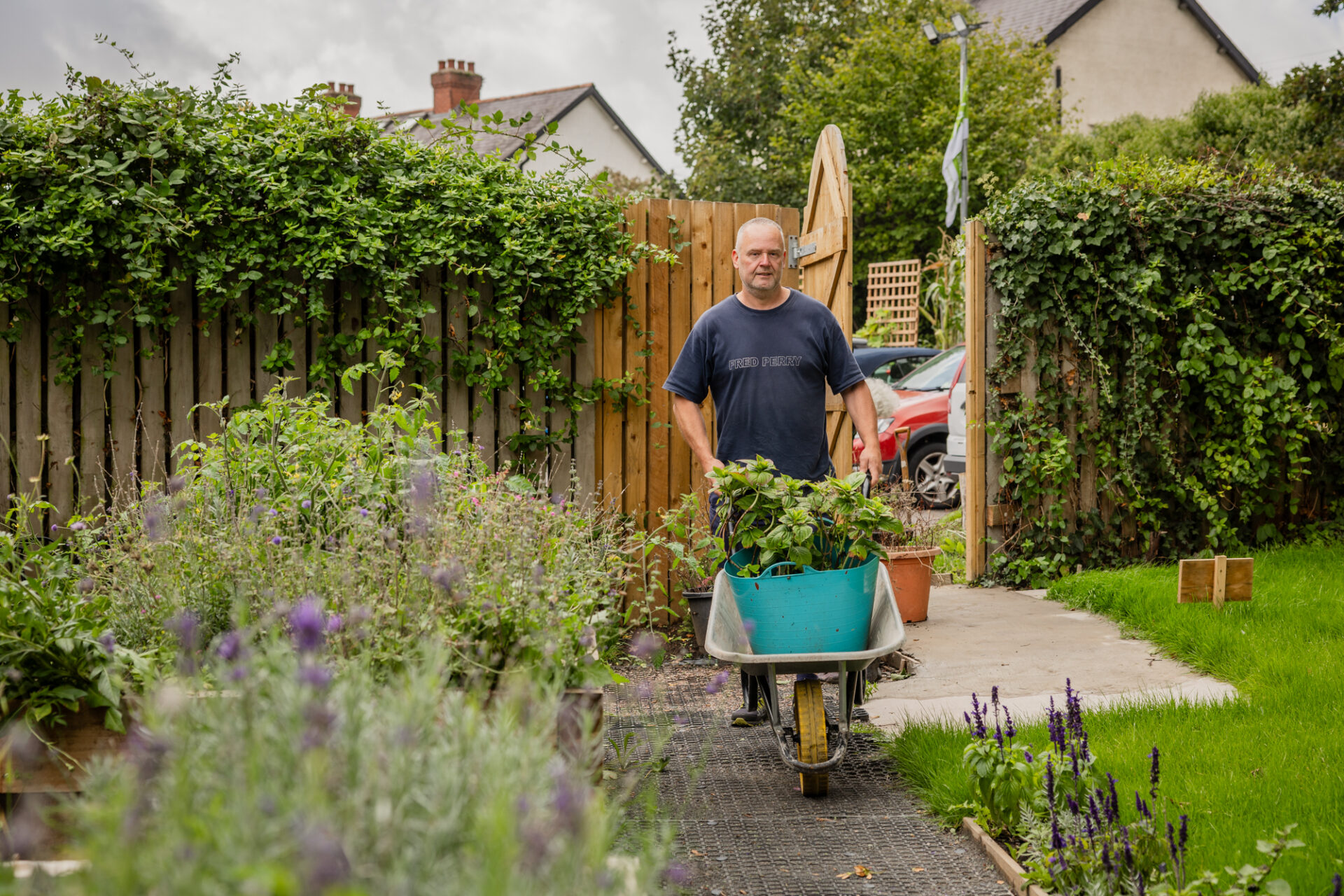 A person pushes a wheelbarrow filled with green plants down a garden path.