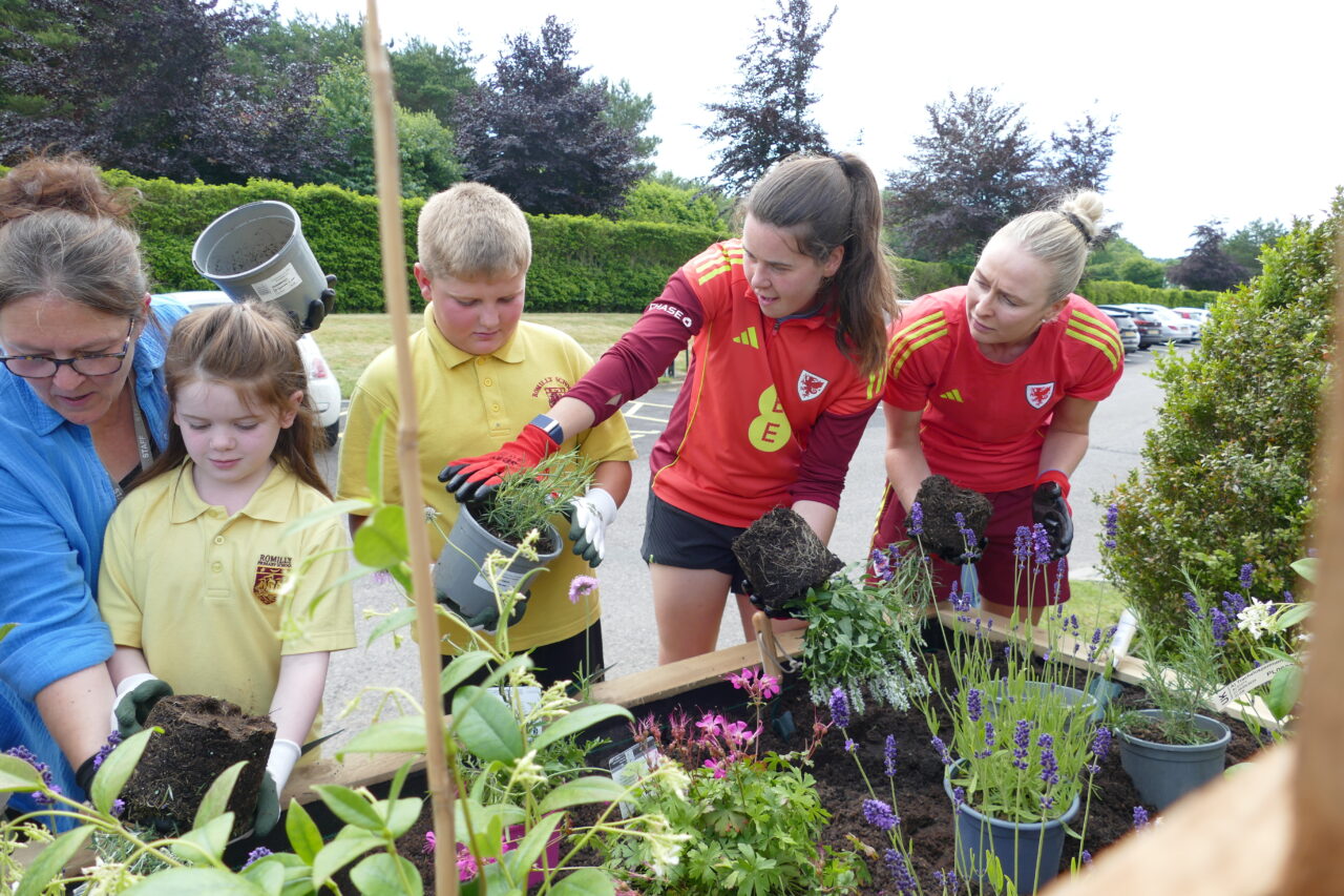 two Football Association of Wales female players helping two young children and a teacher plant a raised planting bed.