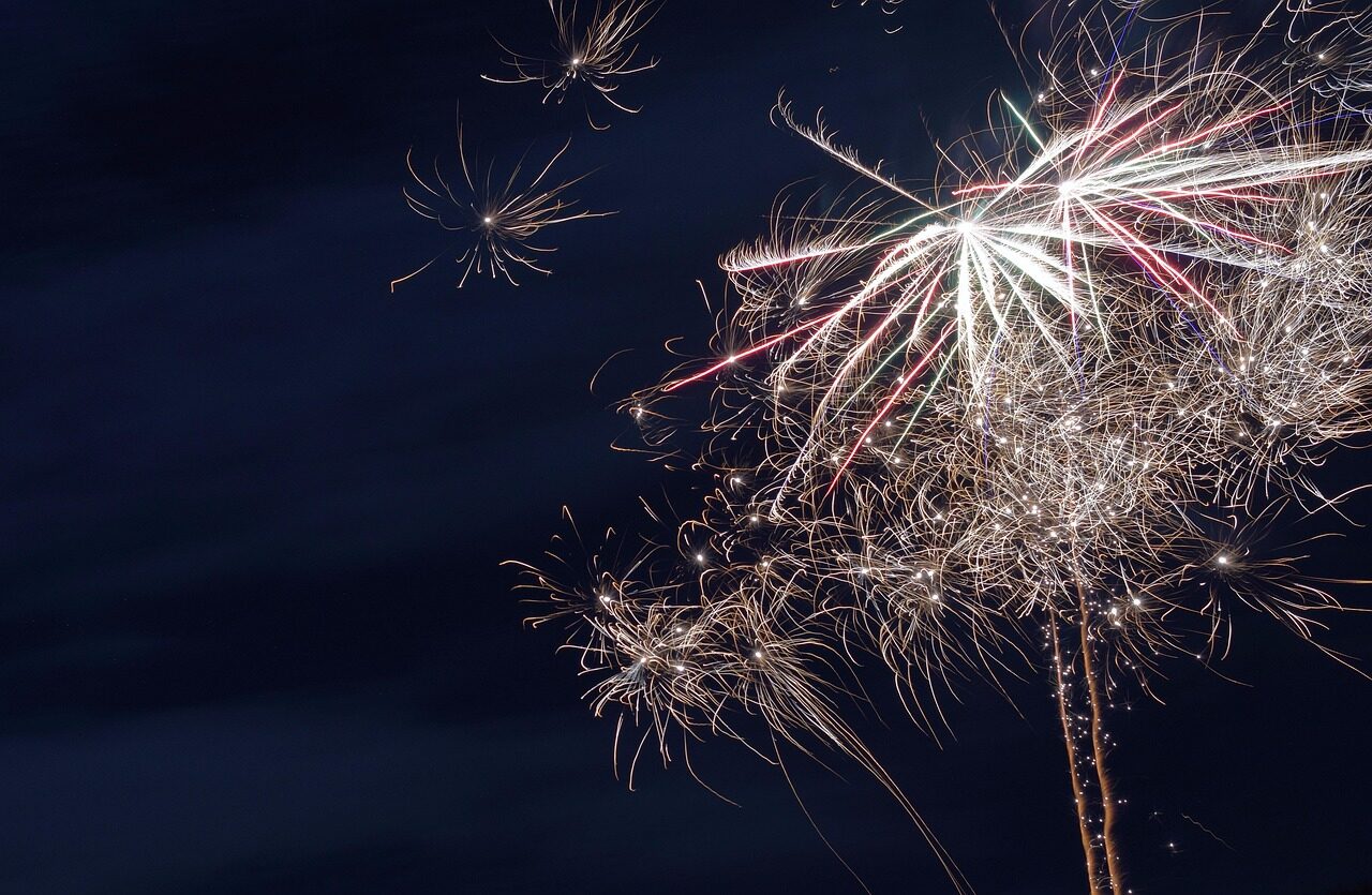 Fireworks in the night sky