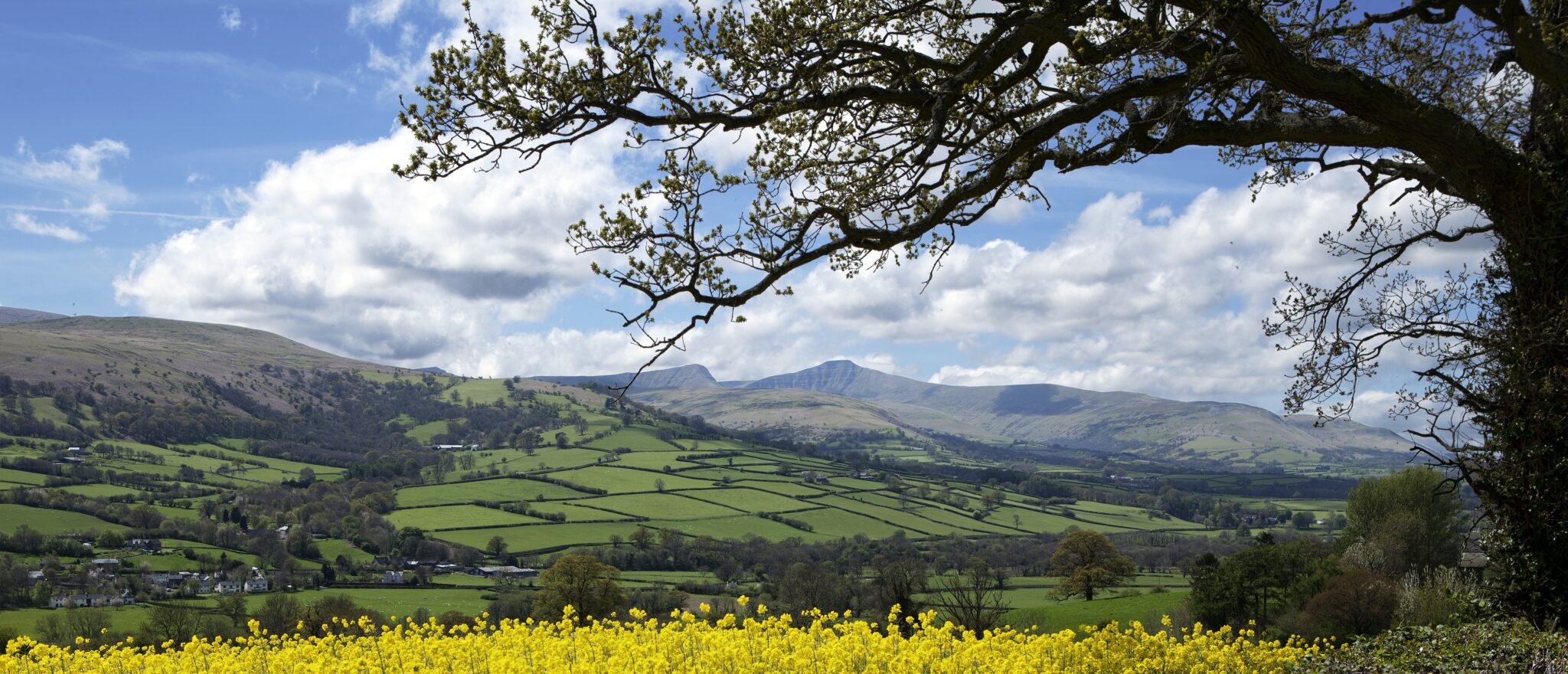 Contact us - Keep Wales Tidy