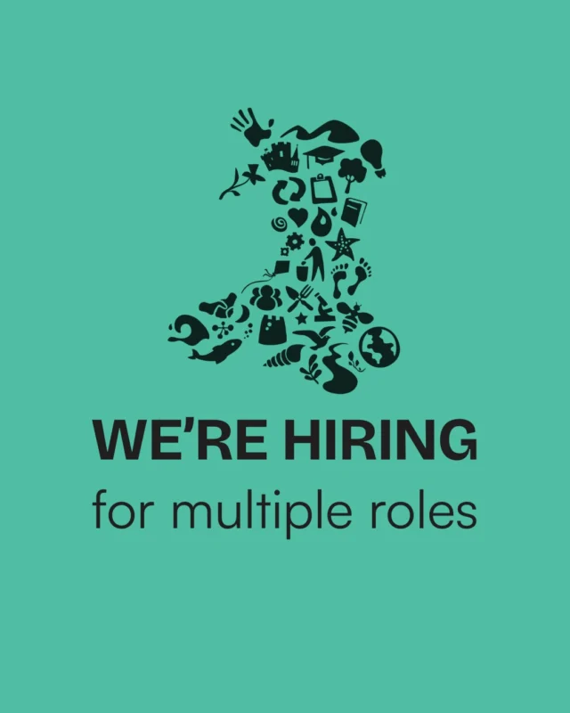 We’re hiring! We’re looking for passionate people to join our team in a range of exciting roles: Eco-Tots Officer Community Communications Officer Procurement and Administration Officer Education Officer – South East Wales Education Officer – Ceredigion and Powys 💻 Flexible hours | 🏡 Home-based | 💙 A chance to be part of something special 👉 Apply now via the link in our bio!